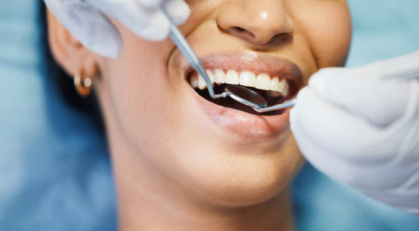 Best Emergency Dental Services for Seniors in Bressler, PA